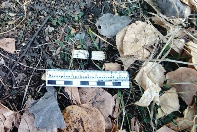 Фото предоставлено пресс-службой УМВД