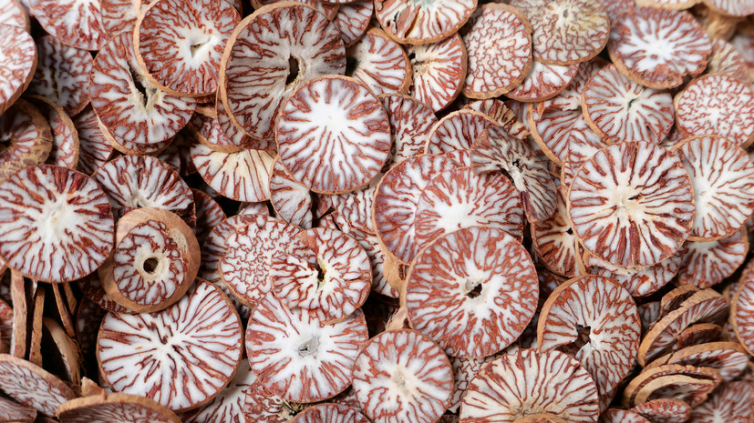 Почему несовершеннолетние особенно уязвимы: аргументы за запрет арекового ореха в РФ