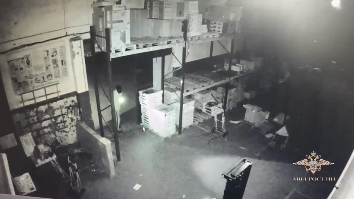 Ирина Волк: В Калининграде полицейские задержали подозреваемых в поджоге складских помещений с многомиллионным ущербом