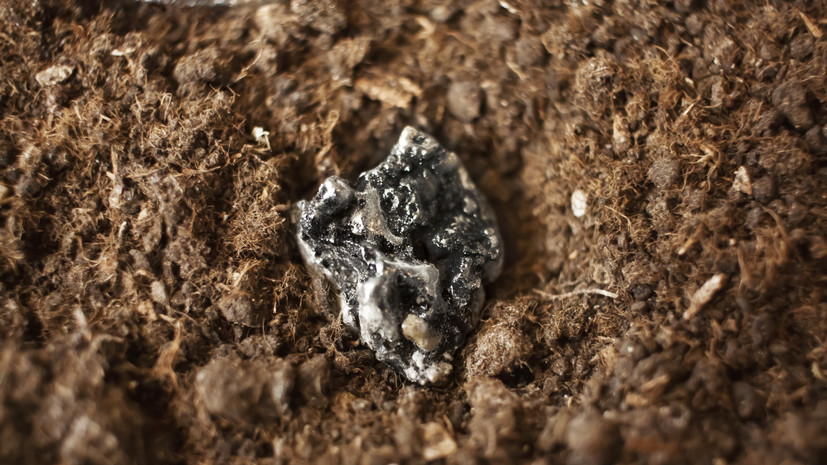 Исследование геологических проб с Императорского хребта: перспективы подводной добычи