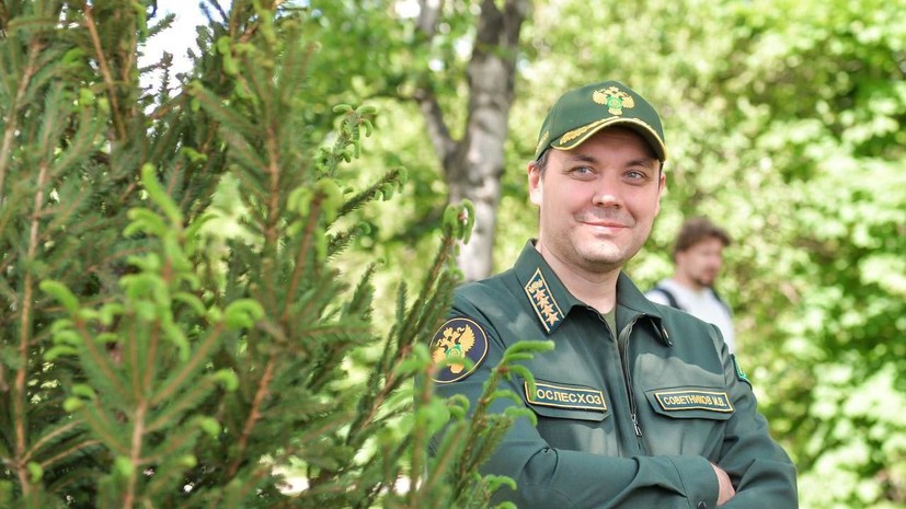 Искусственный интеллект, БПЛА и биооружие против вредителей: новейшие тренды в лесной отрасли