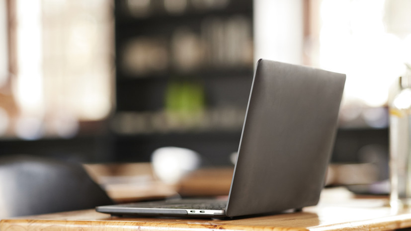 Парламентарий Панещ обозначил перспективы дистанционной занятости для старшего поколения