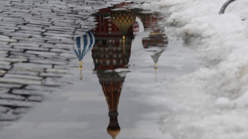 Клещи, комары, грибы: к чему готовиться россиянам после необычайно снежной зимы