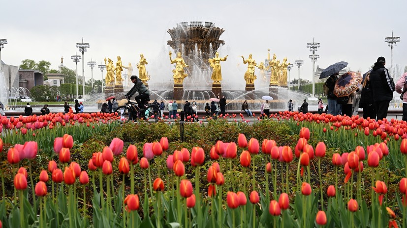 Короткие майские — 2026: как отдыхаем, главные события и идеи для выходных