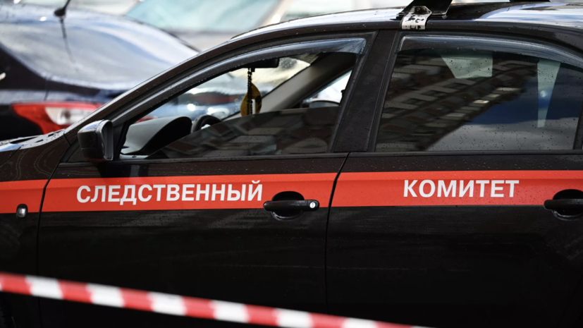 «Эфемерное чувство безнаказанности»: на жительницу Петербурга завели дело за фото кулича с секс-игрушкой