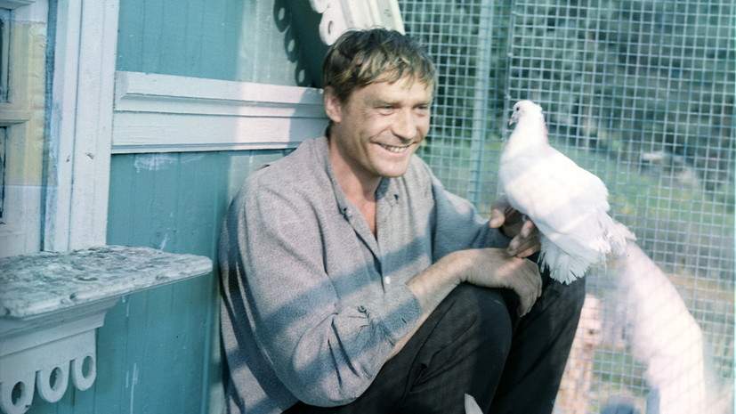 «Сценарий — первооснова всего»: актёр Александр Михайлов — о феномене фильма «Любовь и голуби»