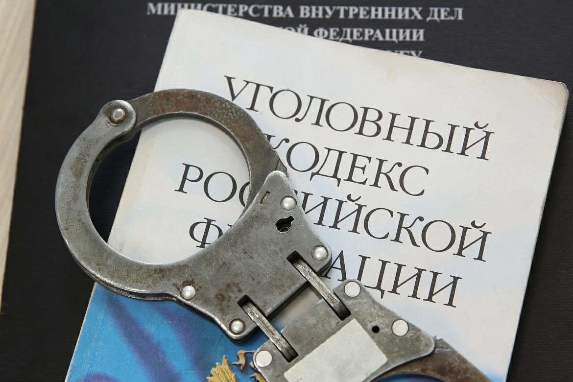Ирина Волк: В Тамбовской области предотвращена атака на энергообъект