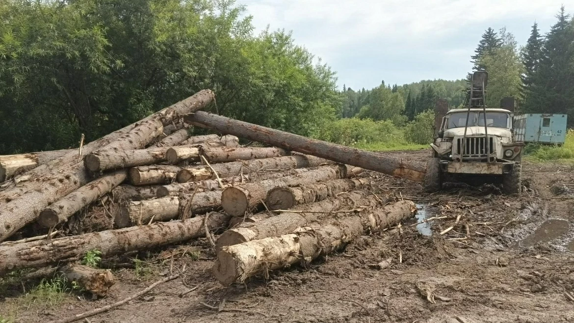 Изображение по уголовному делу