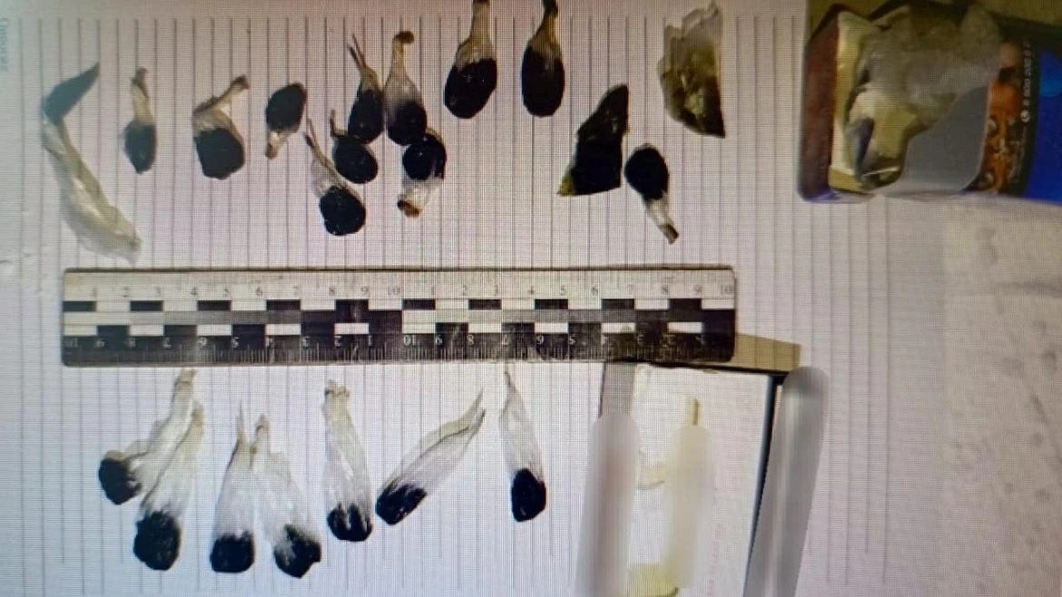 Задержание наркопотребителя на Чукотке