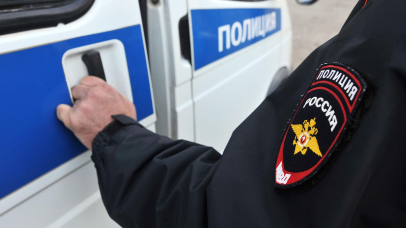 Силовики задержали 150 нелегальных мигрантов во время проверки в Московской области