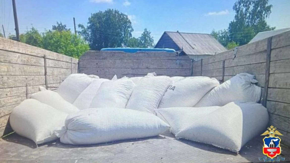 В Алтайском крае задержан подозреваемый в краже зерна