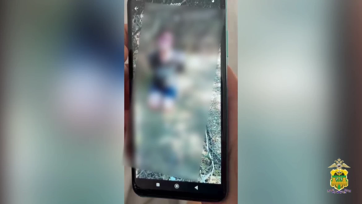 Описание изображения